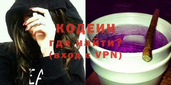 ГАЛЛЮЦИНОГЕННЫЕ ГРИБЫ Фёдоровский