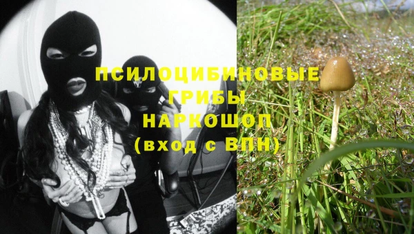 PSILOCYBIN Зеленодольск