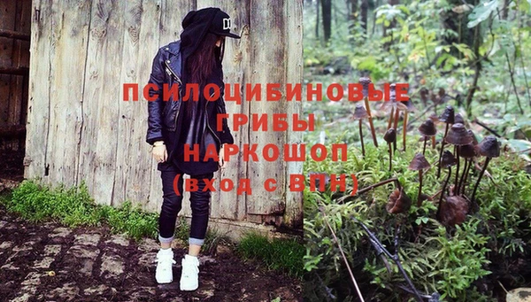 прущая мука Зеленокумск