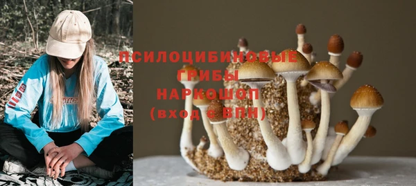 PSILOCYBIN Зеленодольск
